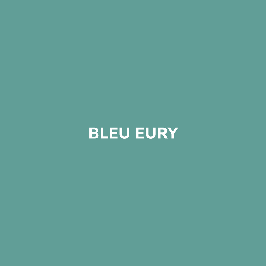 Bombe de peinture BLEU EURY – Be Morpho
