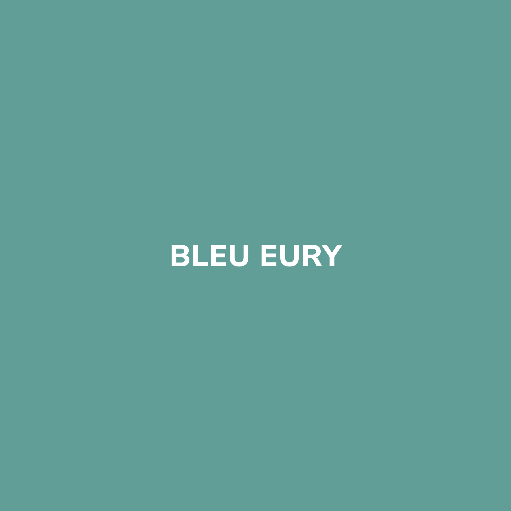Bombe de peinture BLEU EURY – Be Morpho