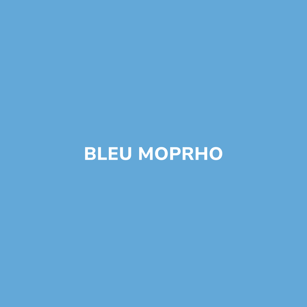 Bombe de peinture BLEU MORPHO – Be Morpho