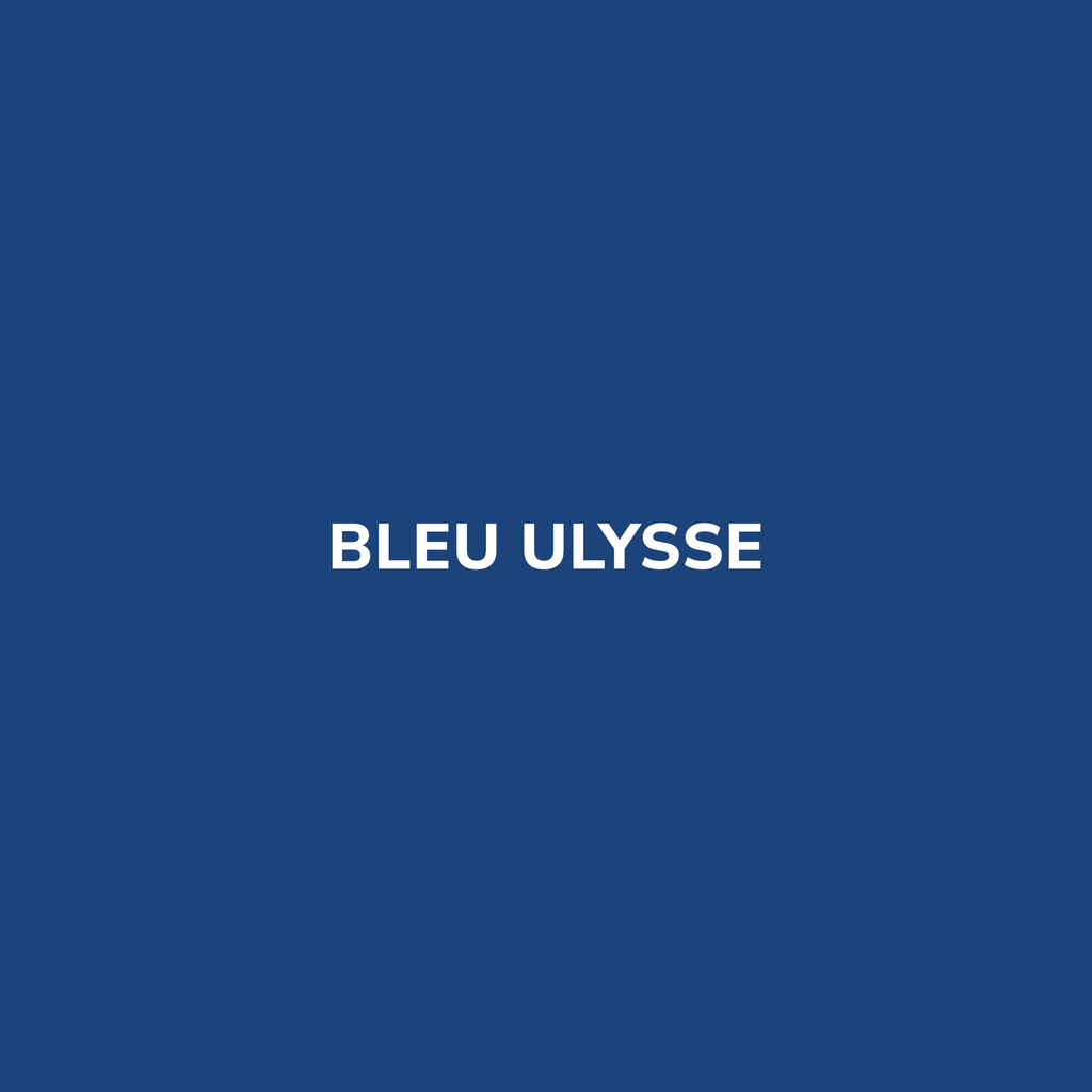 Bombe de peinture BLEU ULYSSE – Be Morpho