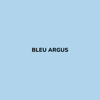 Bombe de peinture sans odeur Bleu ARGUS - BE MORPHO