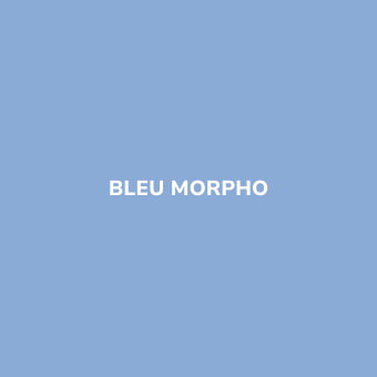 Bombe de peinture sans odeur Bleu MORPHO - BE MORPHO