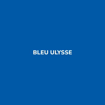 Bombe de peinture sans odeur Bleu ULYSSE - BE MORPHO
