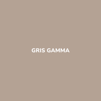 Bombe de peinture sans odeur Gris GAMMA - BE MORPHO
