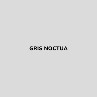 Bombe de peinture sans odeur Gris NOCTUA - BE MORPHO