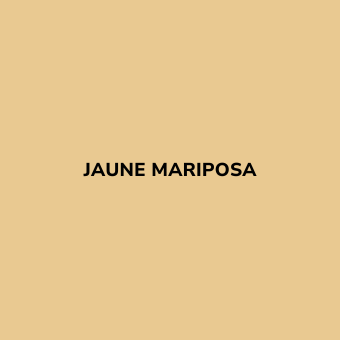 Bombe de peinture sans odeur Jaune MARIPOSA - BE MORPHO