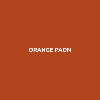 Bombe de peinture sans odeur Orange PAON - BE MORPHO