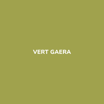 Bombe de peinture sans odeur Vert GAERA - BE MORPHO