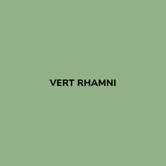 Bombe de peinture sans odeur Vert RHAMNI - BE MORPHO