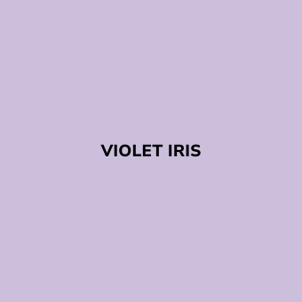 Bombe de peinture Violet Pastel – sans odeur