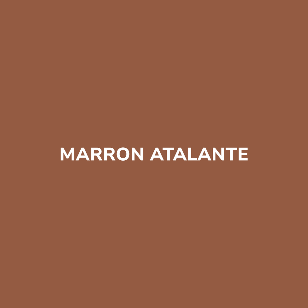 Bombe de peinture MARRON ATALANTE – Be Morpho