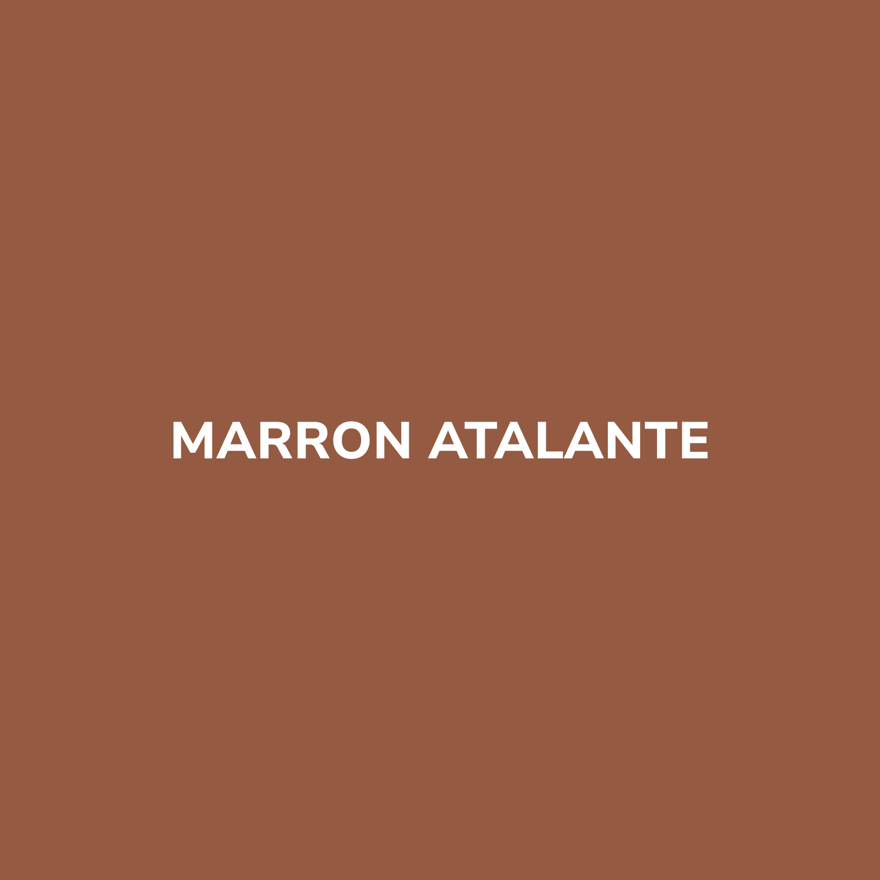 Bombe de peinture MARRON ATALANTE – Be Morpho