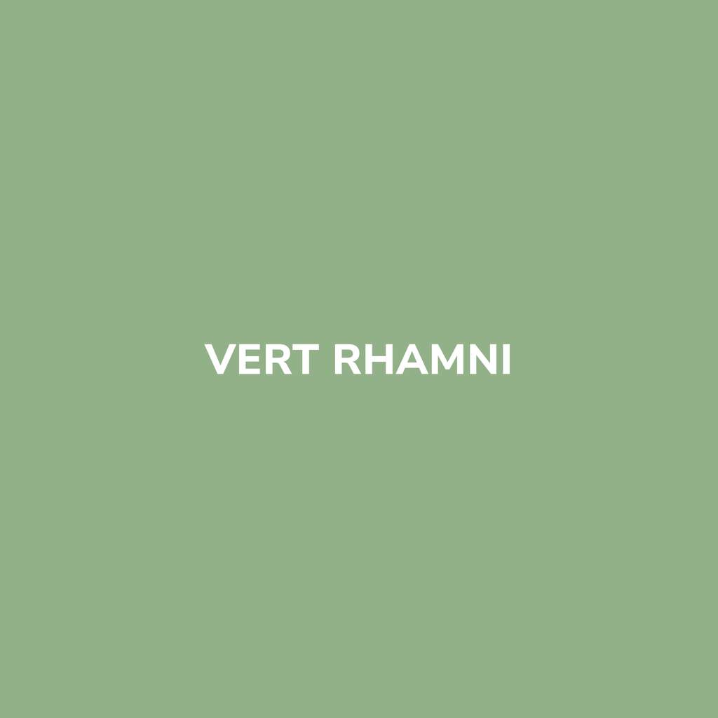 Bombe de peinture VERT RHAMNI – Be Morpho