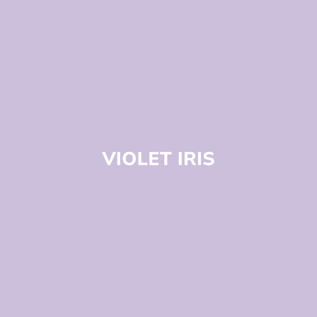 Bombe de peinture VIOLET IRIS– Be Morpho